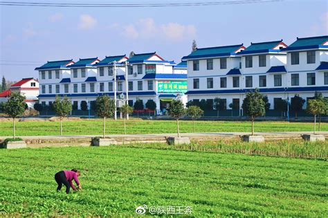 中國天下第一村|改革开放40年的中国乡村